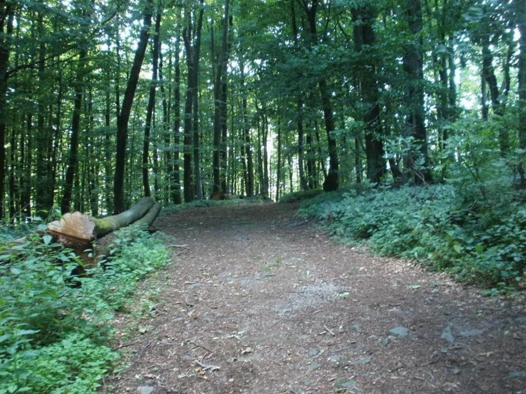 Ferienwohnung Irmgard Und Ferienwohnung Gerlinde Waldbrunn  ภายนอก รูปภาพ